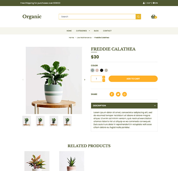 Product Page